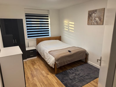 Cozy room for rent in a tidy home Main Photo