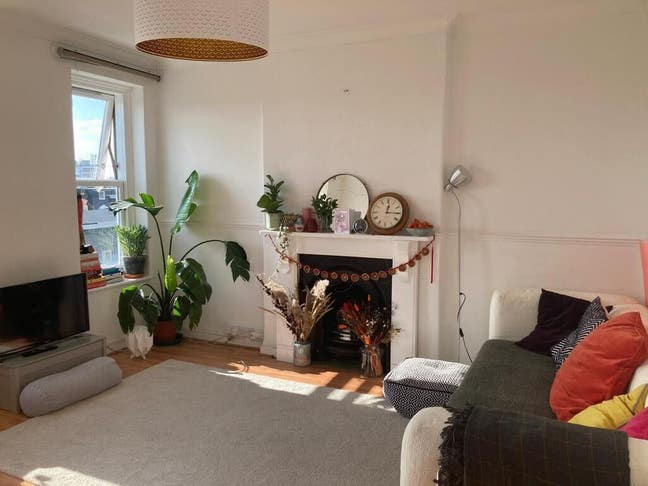 Lovely double room in Stoke Newington  Main Photo