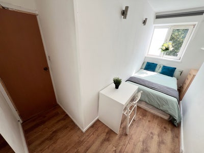 Room near Victoria Park  Main Photo