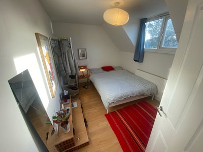 Double Room off Green Lane Main Photo