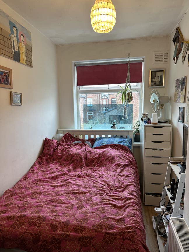 Room available (female preferred) Main Photo