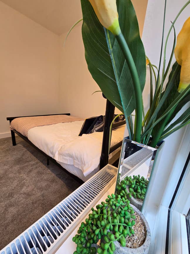 Double  Room Ready to Move!! Main Photo