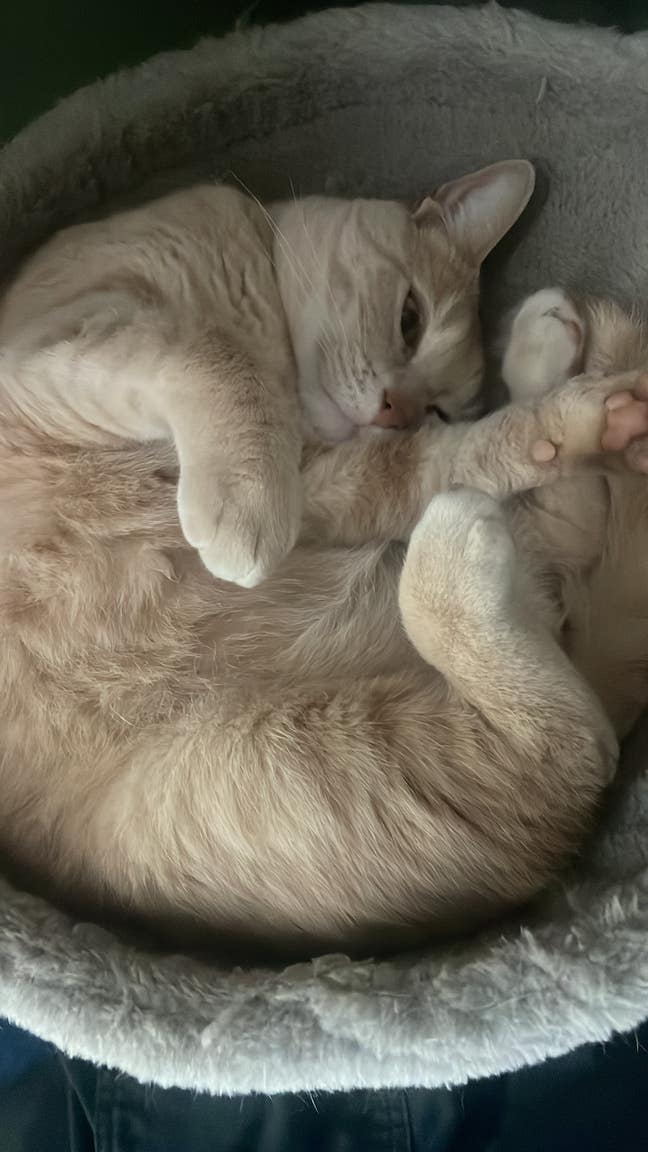 Buxton lodger  Main Photo