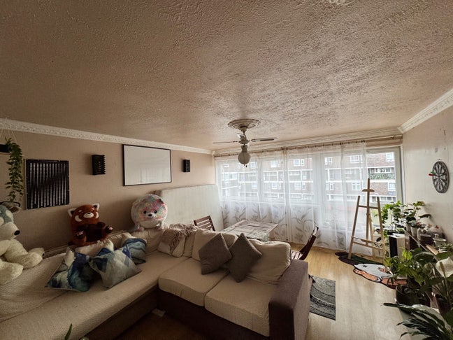 Massive Double Room, E3 Bow, 7 Mins to Mile End Main Photo