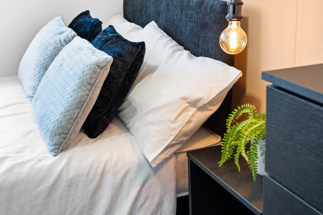 Amazing Studio in Buckthorn Road - PE7 Main Photo