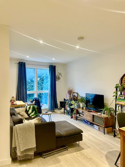 Bright en-suite in 2-bed house, with terrace Main Photo