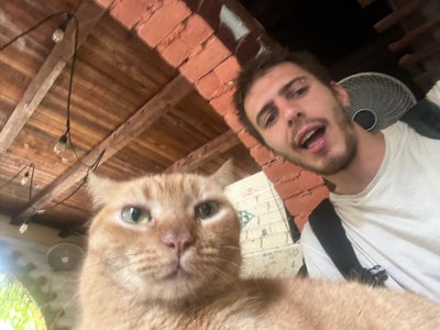 I am looking for a double room or buddy up Main Photo