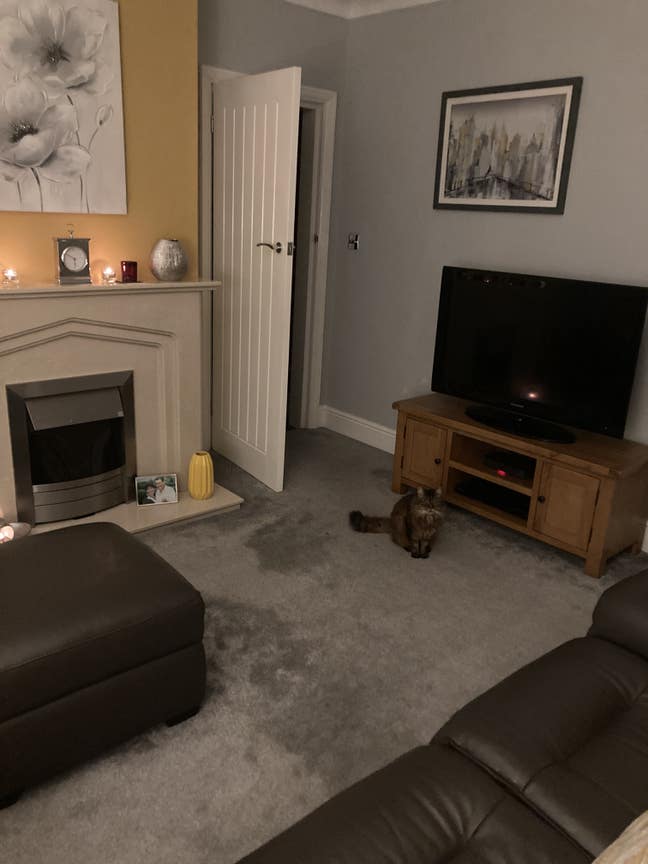 Recently decorated double bedroom  Main Photo