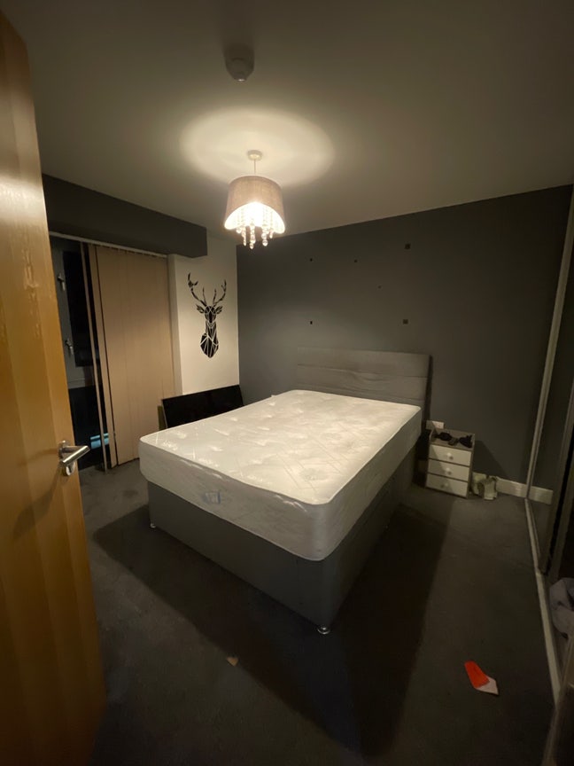 Flat mate Main Photo