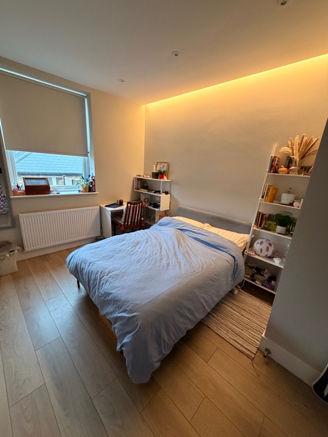 ✨New Friendly housemate✨ Main Photo