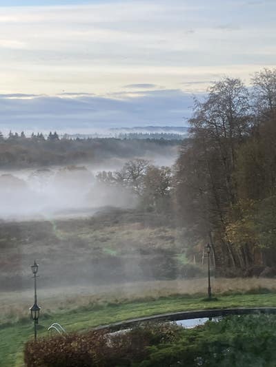 Unique lodging for single occupant Main Photo