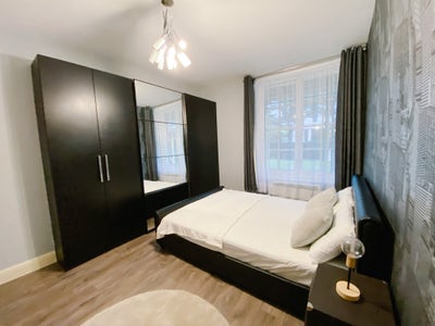 Spacious Double Room in  St.John's Wood Main Photo