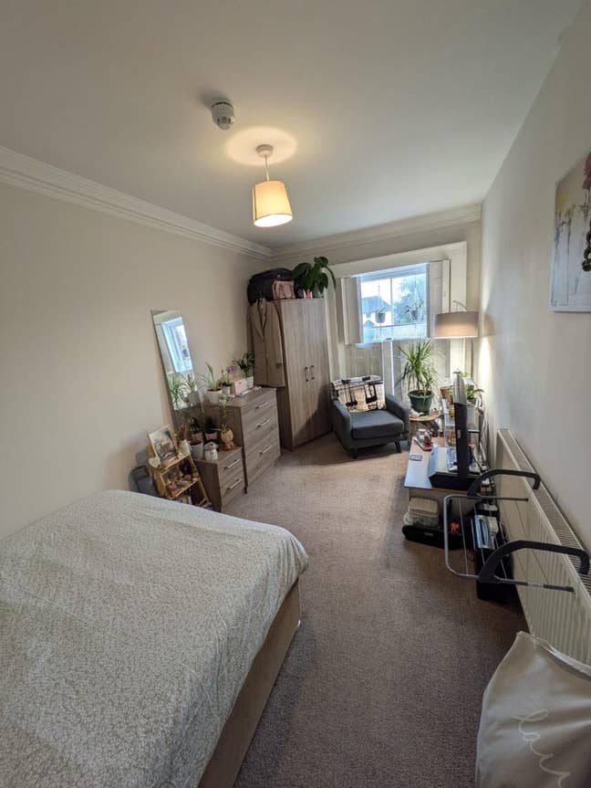 Large room in recently renovated flat Main Photo