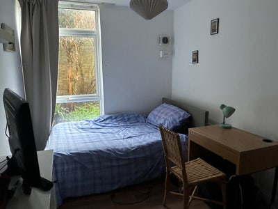 Double in 3 bedroom flat with private garden Main Photo