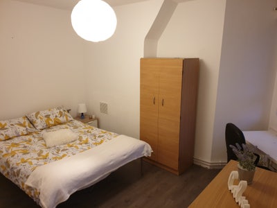 SUPERB room in Dalston to share with 3 people!  Main Photo