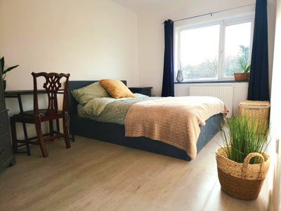 Freshly Renovated Parkside Rooms. Bills Included! Main Photo