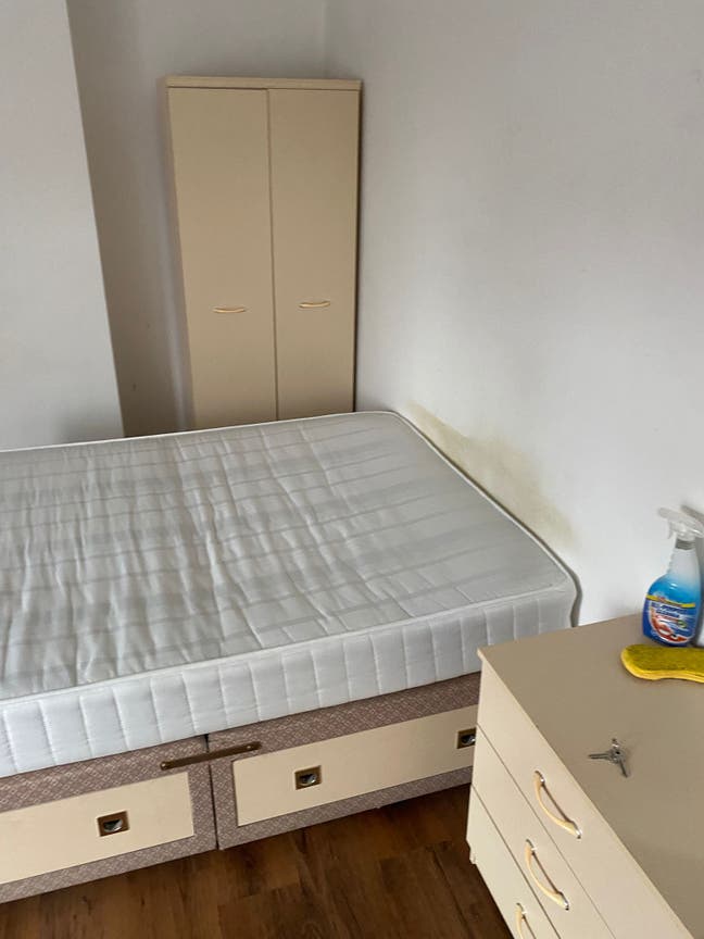 Luxury House Main Photo