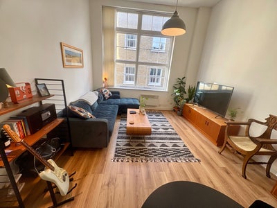 Beautiful 1 bedroom apartment in Hackney Central  Main Photo