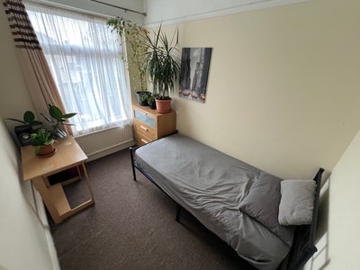 Single room for rent Main Photo