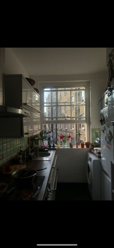 Beautiful Peaceful Room in Historic Block Main Photo