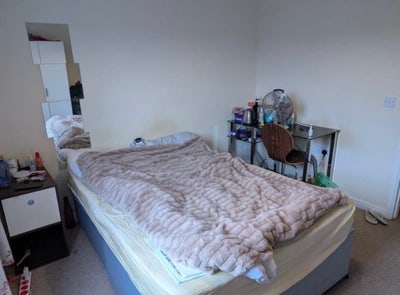 Affordable Room for Rent Main Photo