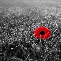 Professional Female seeks a double room Main Photo