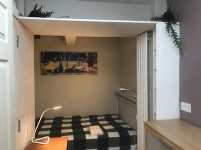 Double Room to rent in cosy basement flat Main Photo
