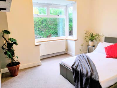 Leafy Bungalow - Respectful Housemates Main Photo