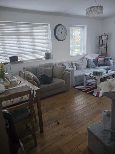 N8 double room sublet - 1st July-12th August! :)  Main Photo