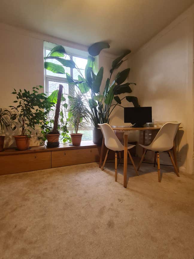 1-Bed Flat Next to Stockwell Station Main Photo