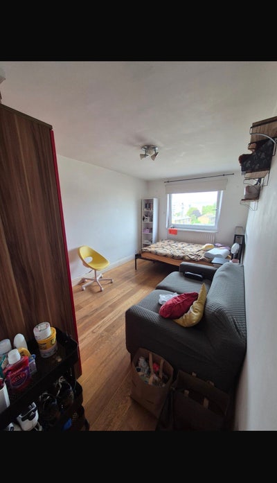 Amazing  Large double Room in Limehouse  Main Photo