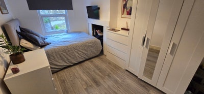 Spacious Double Room in a Clean House Main Photo