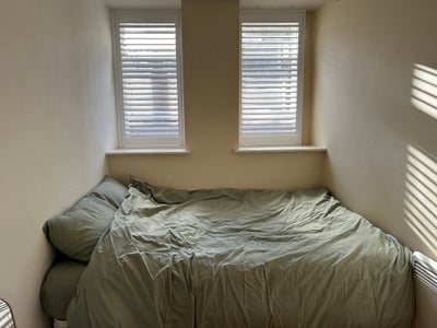 Room Available in Central Zone! Main Photo