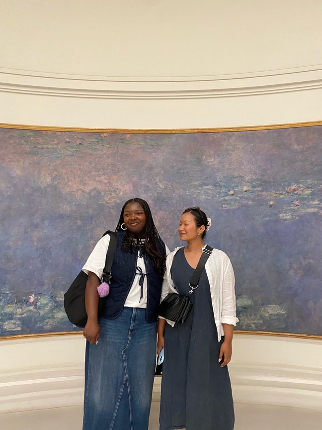 Professional looking to buddy up or for room Main Photo