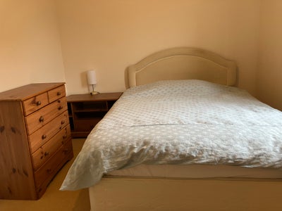 Large Double Room In Sherborne Bill Inc Main Photo