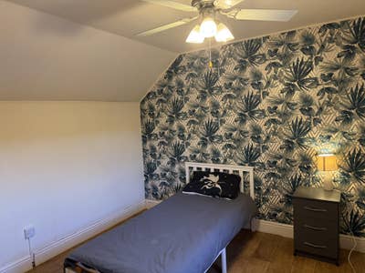 🏡 Single Bedroom Available – Vegetarian Male Pref Main Photo