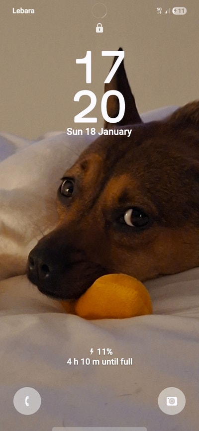 Hi i am chrissy a female aged 45. Main Photo