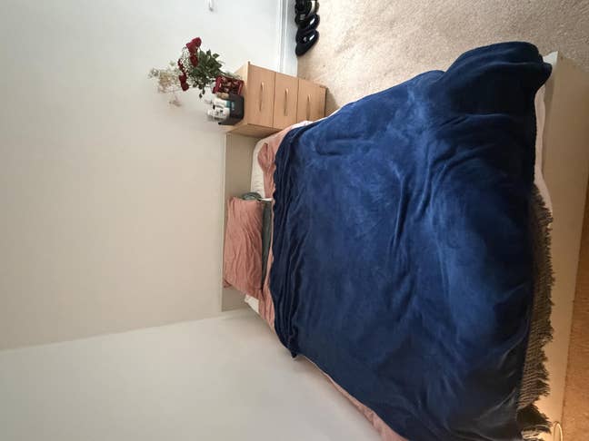 Sunny room in Ealing Common Main Photo