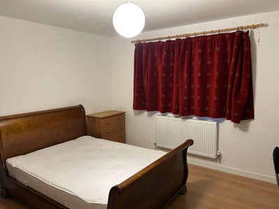 Large double en-suite in a lovely spacious house Main Photo