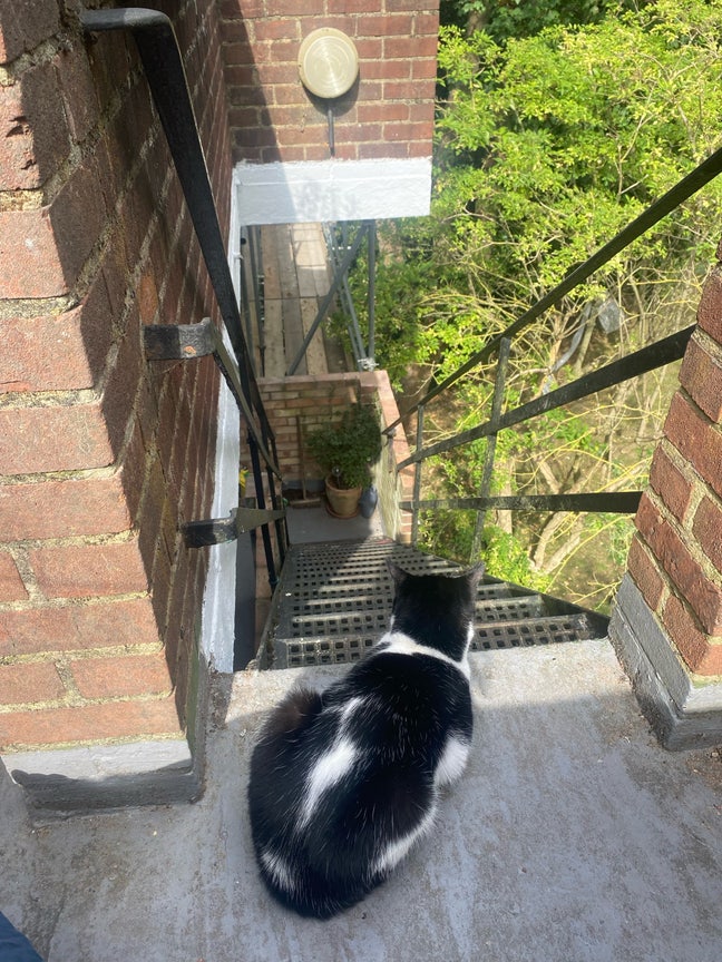 Spacious room in gorgeous private complex Main Photo