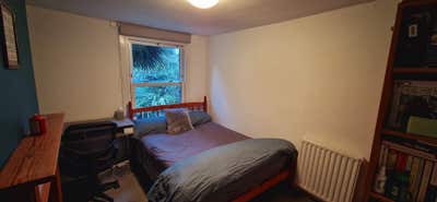 5 cats and their gay dads seek housemate Main Photo