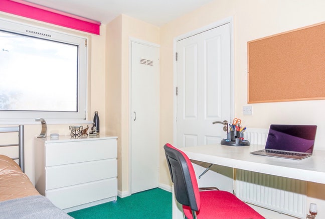 Bright & Spacious Room Available Main Photo