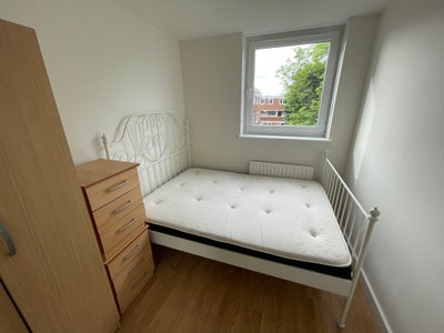 Single Room in Quiet Area Next to Battersea Park Main Photo
