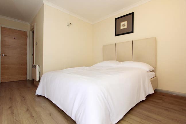 Beautiful Ensuite Room! the City at Your Doorstep Main Photo