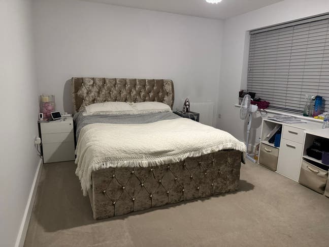 Lady only Double Room in a Friendly Shared Flat Main Photo