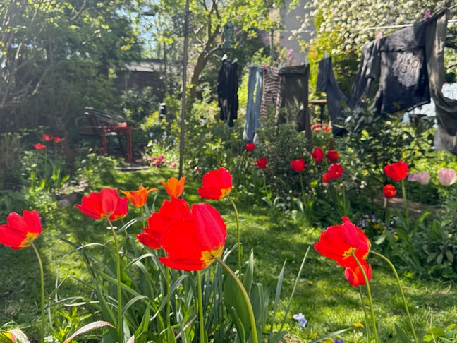 Double room in lovely Walkley houseshare  Main Photo