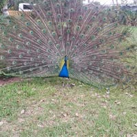 I am a Registered Nurse looking for a room  Main Photo