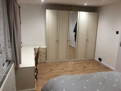 Single room to let close to  Willesden Green tube Main Photo