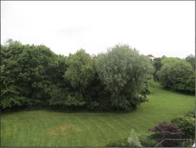 Double room overlooking trees on prime Sutherland  Main Photo