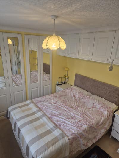 Helpful house mate!  Main Photo